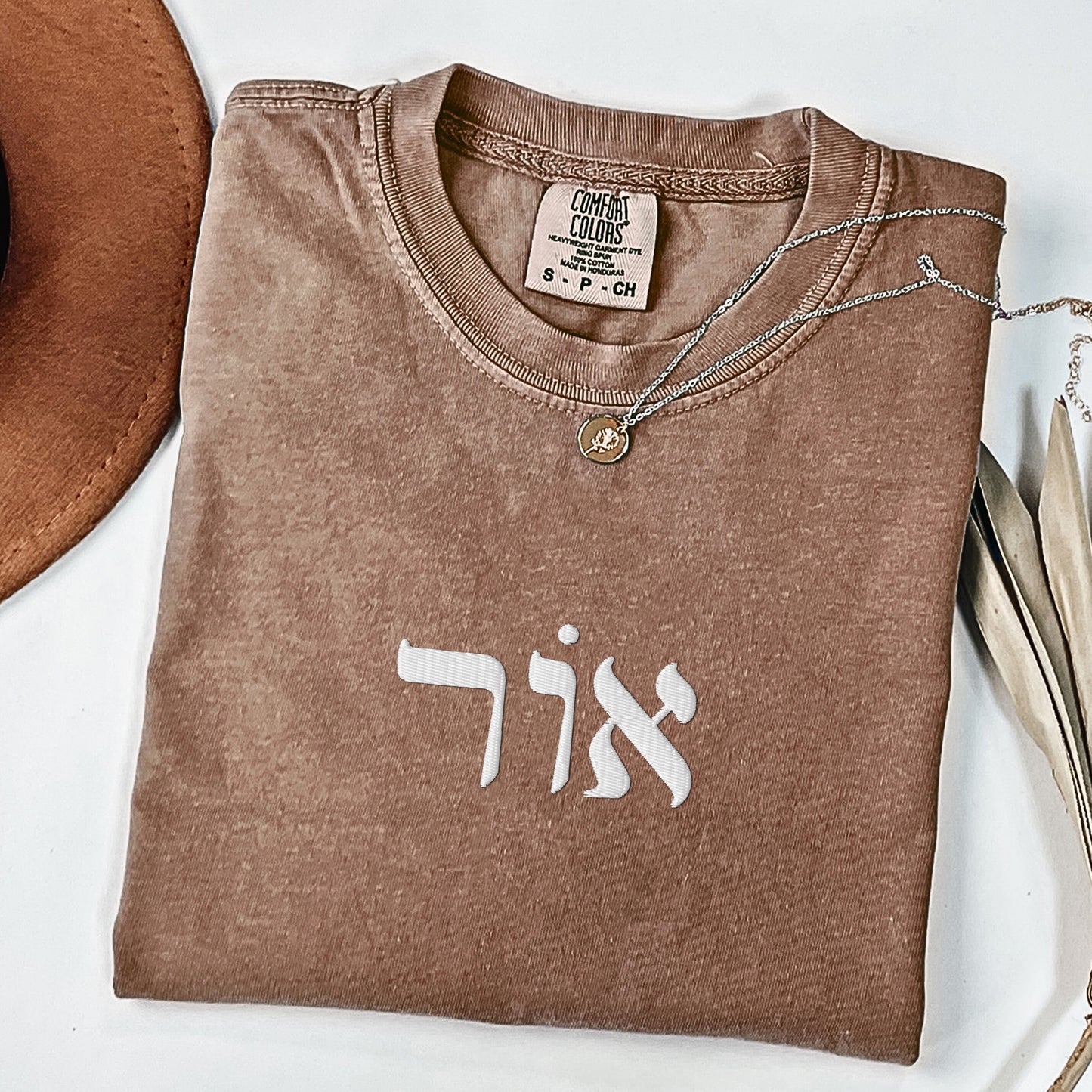 אור | Light In Hebrew Embroidered Washed T-shirt
