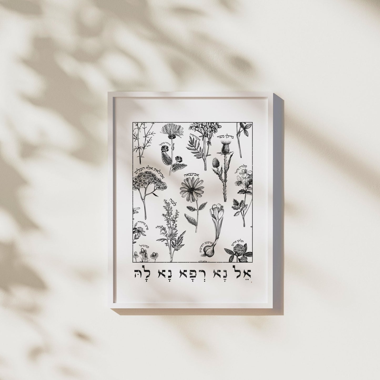 אל נא רפא נא לה | Medicinal Herbs Wall Art - Oytiot