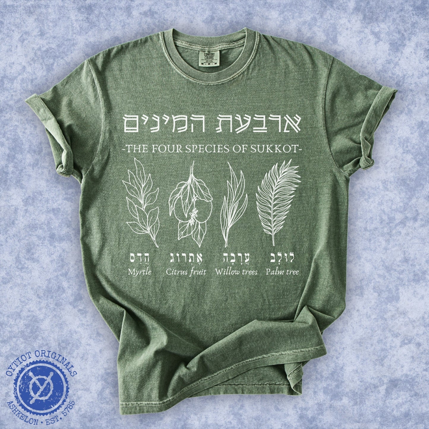 ืืจืืขืช ืืืื ืื | The Four Species Of Sukkot Washed T-shirt - Oytiot