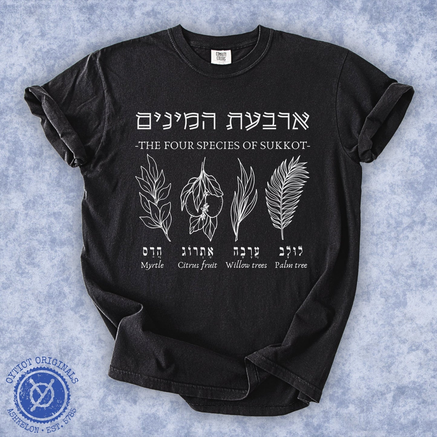 ืืจืืขืช ืืืื ืื | The Four Species Of Sukkot Washed T-shirt - Oytiot