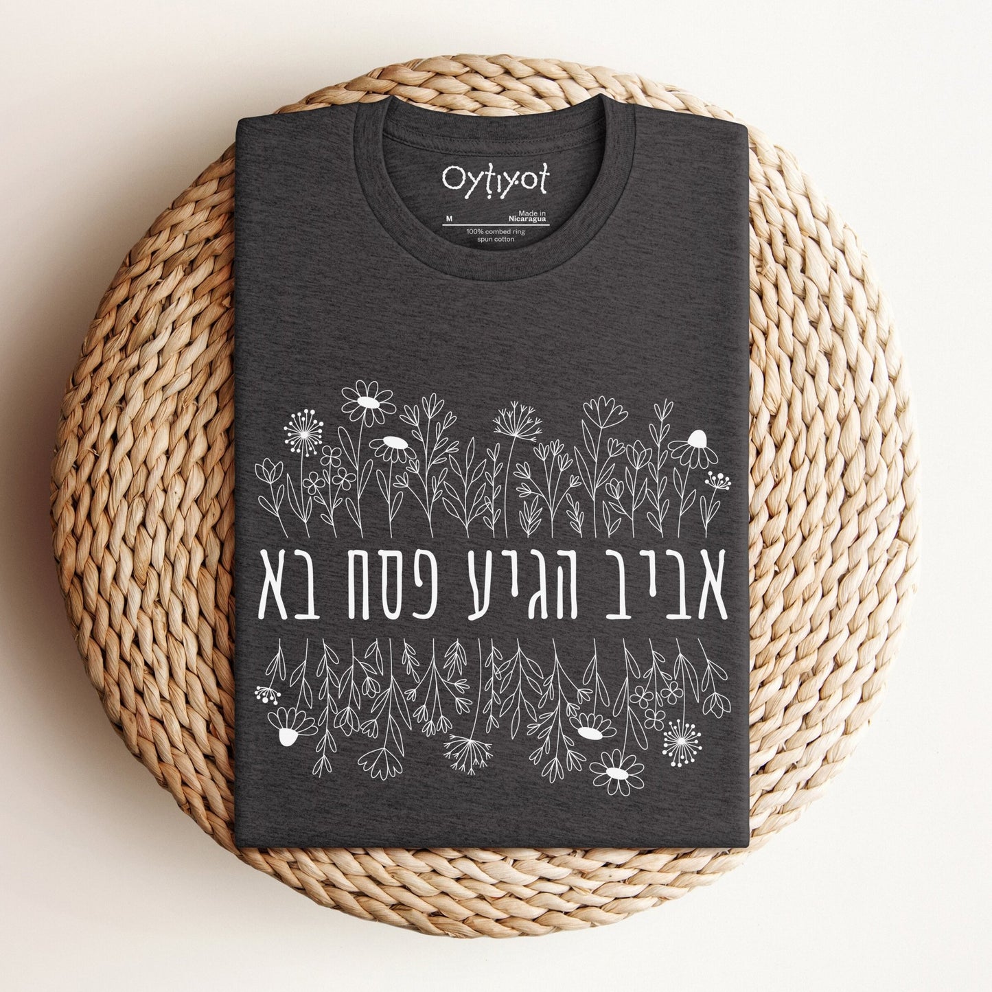 פסח בא | Passover Hebrew T-shirt - Oytiot