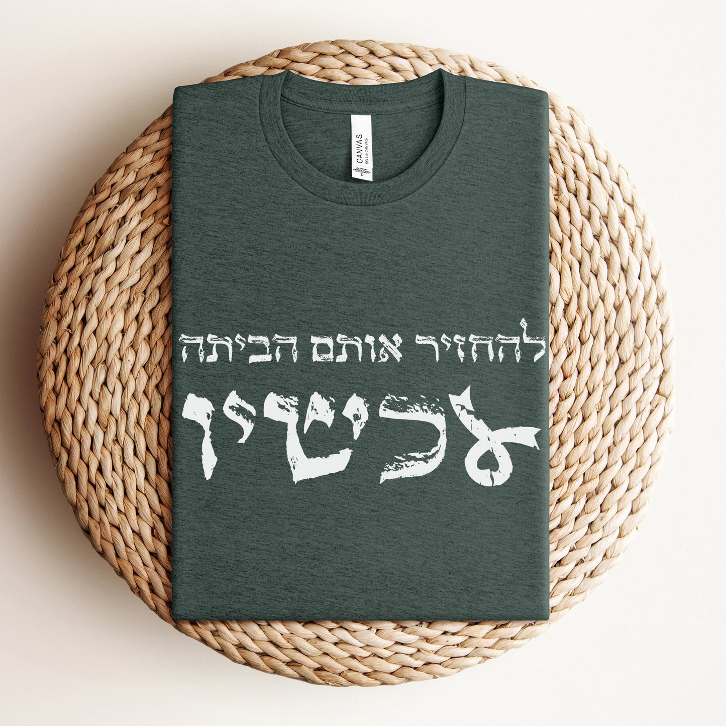 להחזיר אותם הביתה עכשיו T-shirt - Oytiot