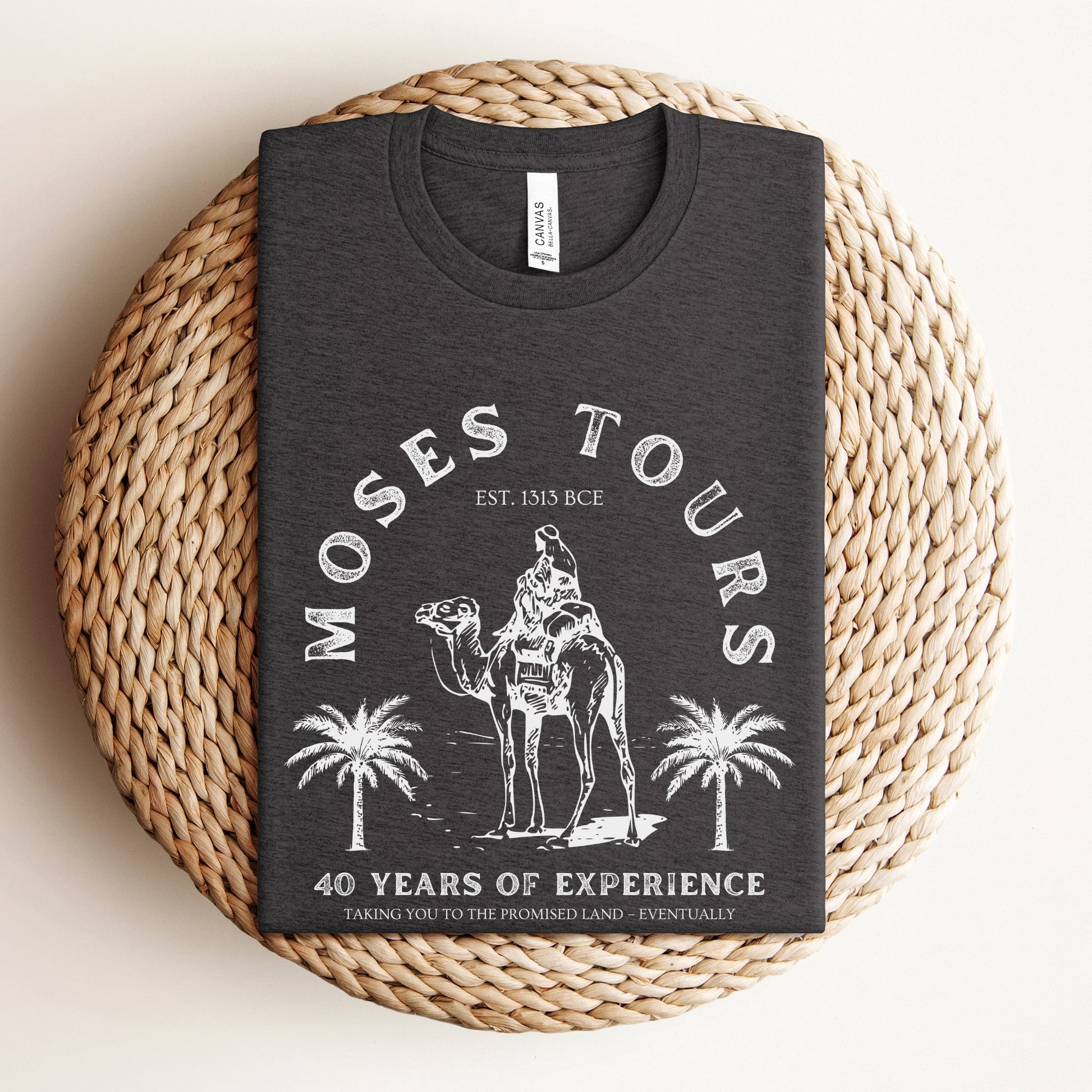 Moses Tours | Jewish Humor Passover T-shirt - Oytiot