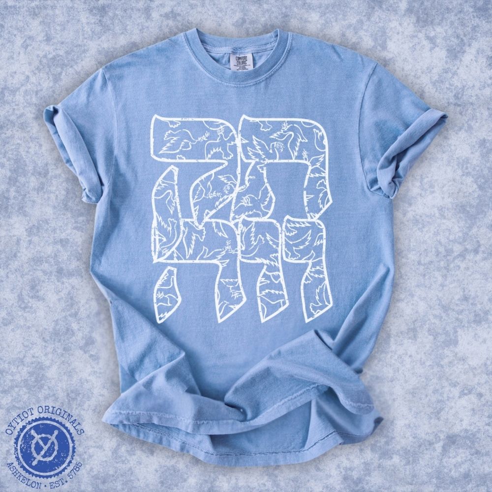 תקווה | Hope In Hebrew Washed T-shirt - Oytiot