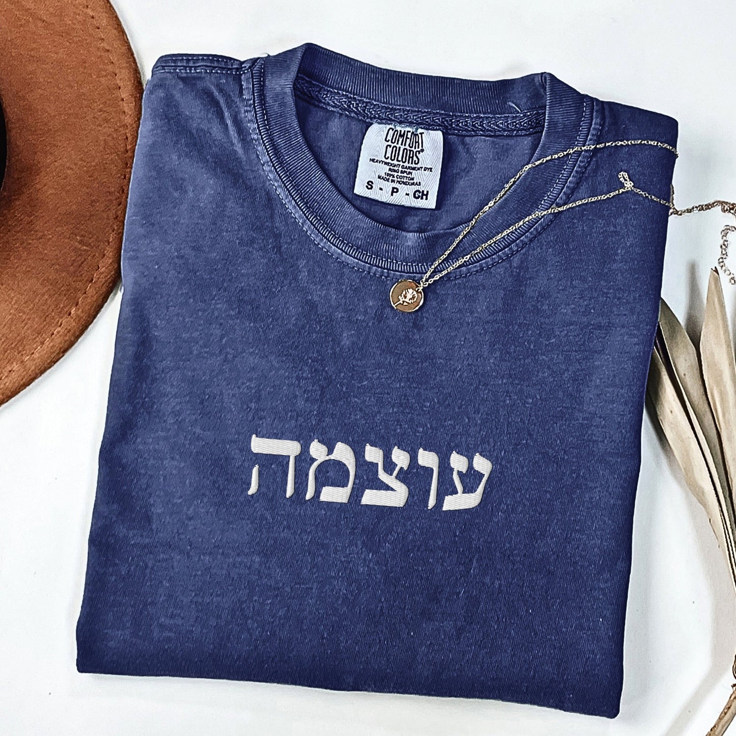 עוצמה | Strength In Hebrew Embroidered Washed T-shirt - Oytiot