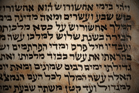 The Roots of the Hebrew Language