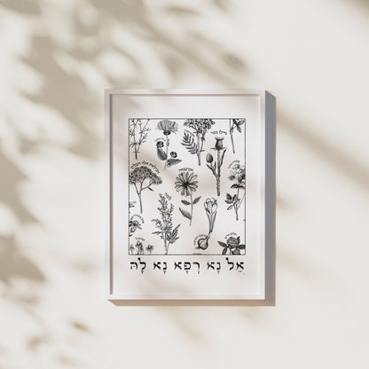 אל נא רפא נא לה | Medicinal Herbs Wall Art