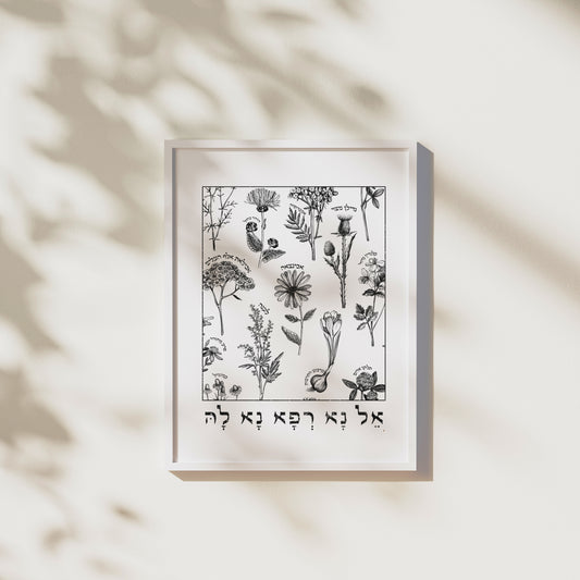אל נא רפא נא לה | Medicinal Herbs Wall Art