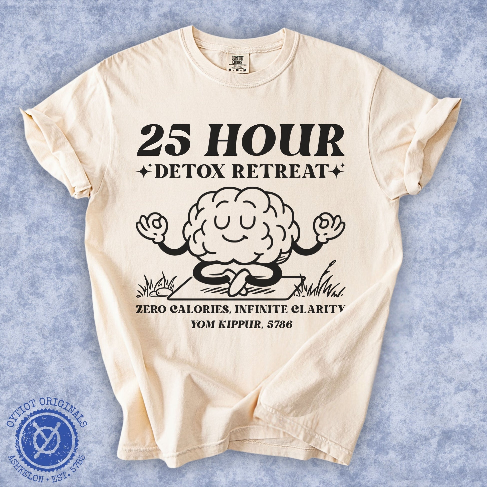 25 Hour Detox | Yom Kippur Humor Washed T-shirt - Oytiot