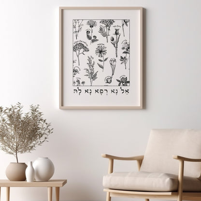 אל נא רפא נא לה | Medicinal Herbs Wall Art