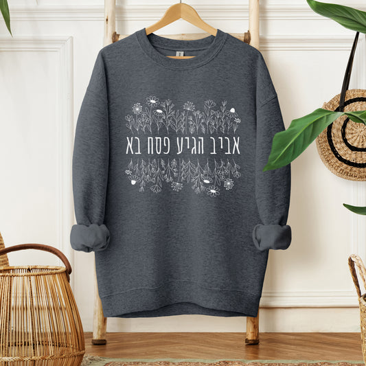 פסח בא | Passover Has Arrived Hebrew Sweatshirt