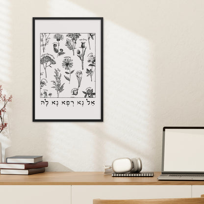 אל נא רפא נא לה | Medicinal Herbs Wall Art