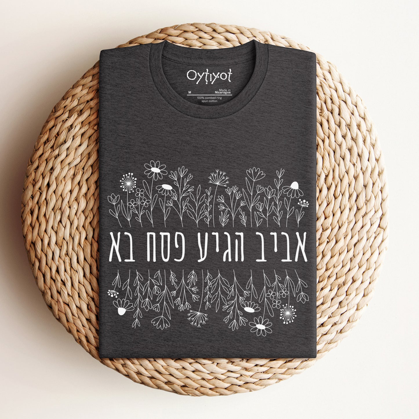 פסח בא | Passover Hebrew T-shirt