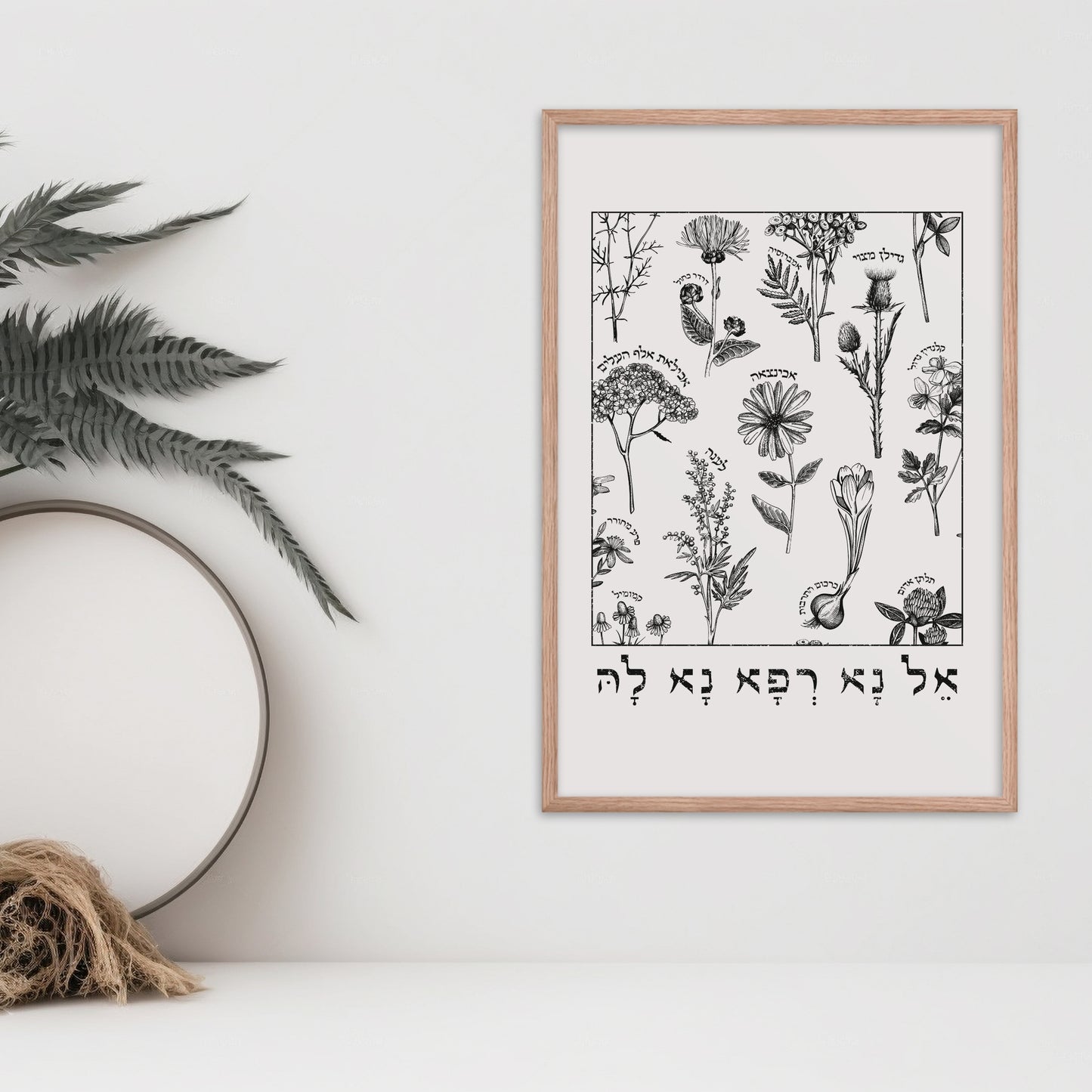 אל נא רפא נא לה | Medicinal Herbs Wall Art