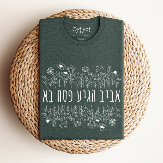 פסח בא | Passover Hebrew T-shirt