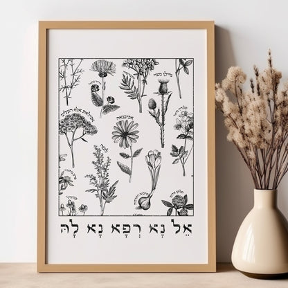 אל נא רפא נא לה | Medicinal Herbs Wall Art