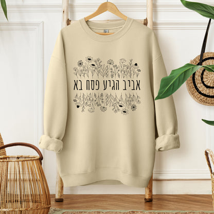 פסח בא | Passover Has Arrived Hebrew Sweatshirt