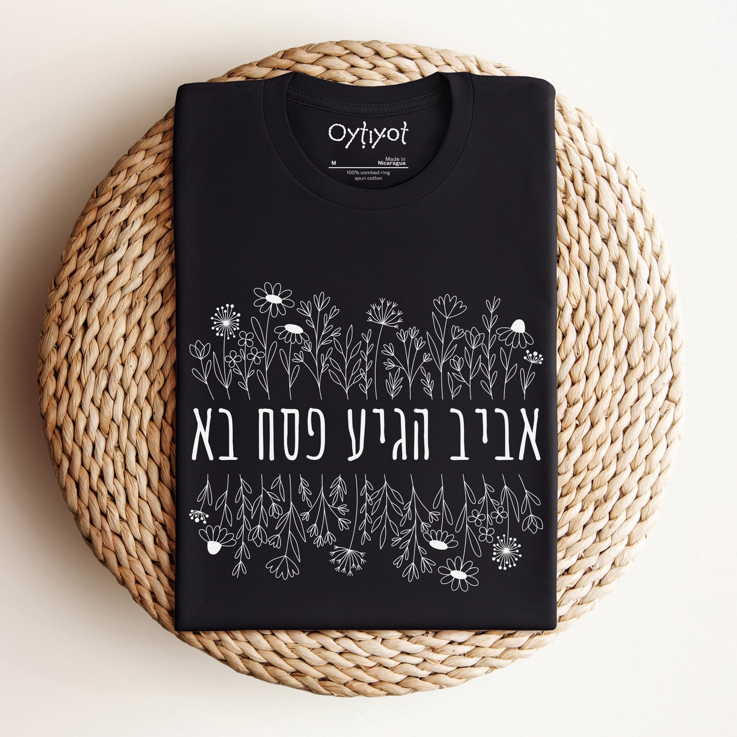 פסח בא | Passover Hebrew T-shirt