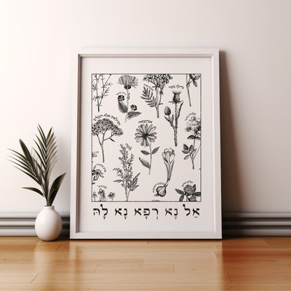 אל נא רפא נא לה | Medicinal Herbs Wall Art