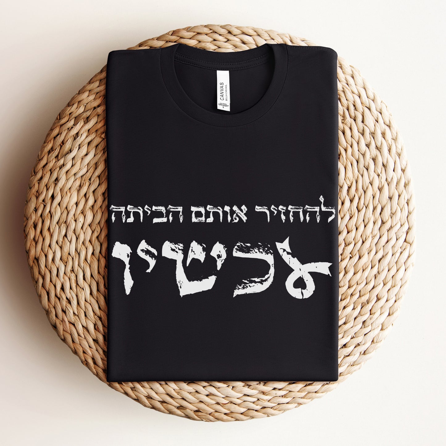 להחזיר אותם הביתה עכשיו T-shirt