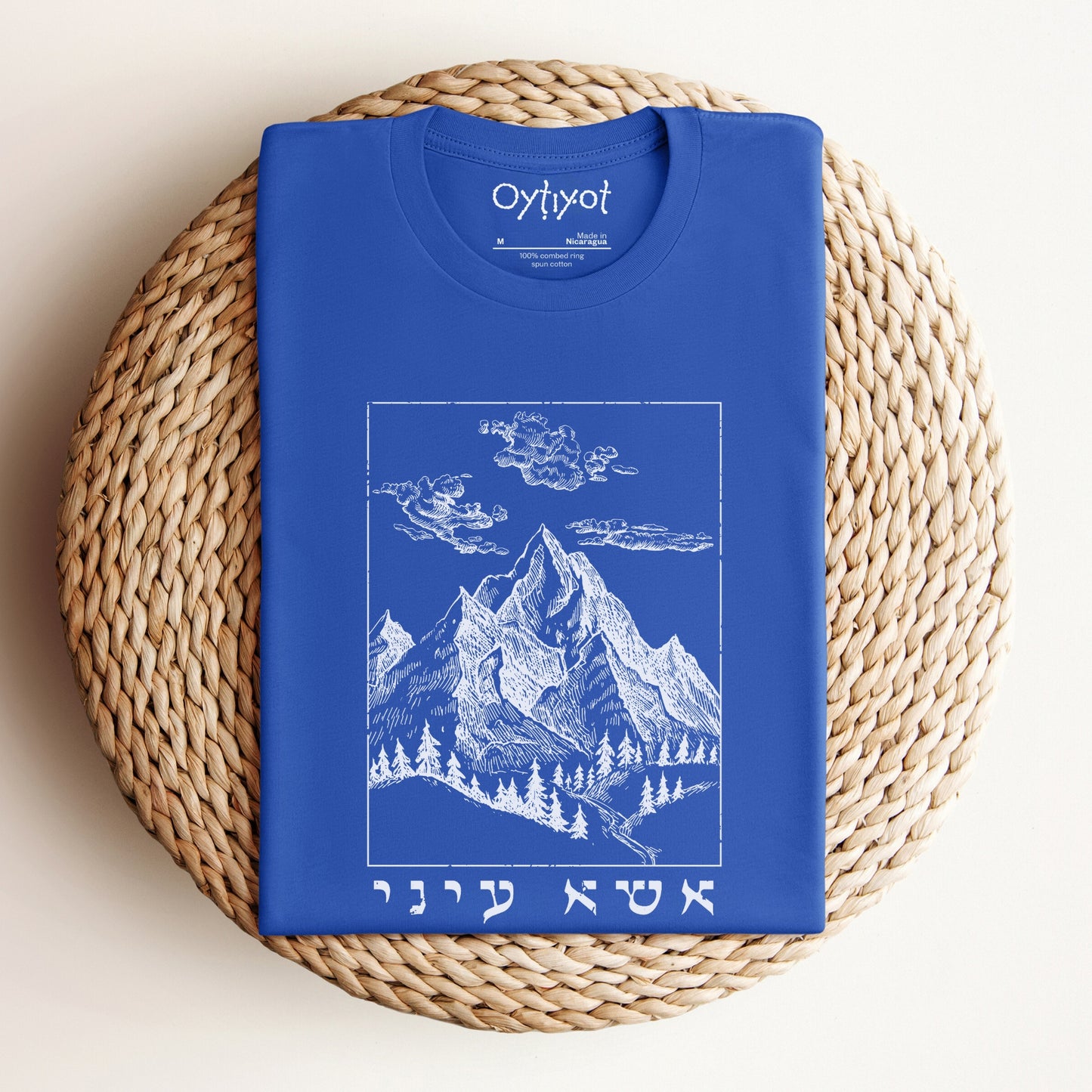 אשא עיני | I Lift Up My Eyes In Hebrew T-shirt