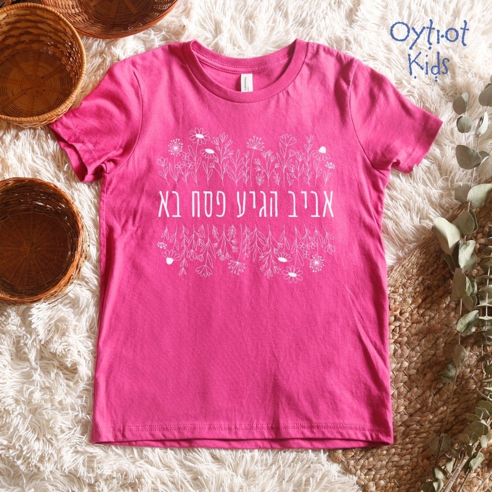 אביב הגיע פסח בא | Passover Youth T-shirt