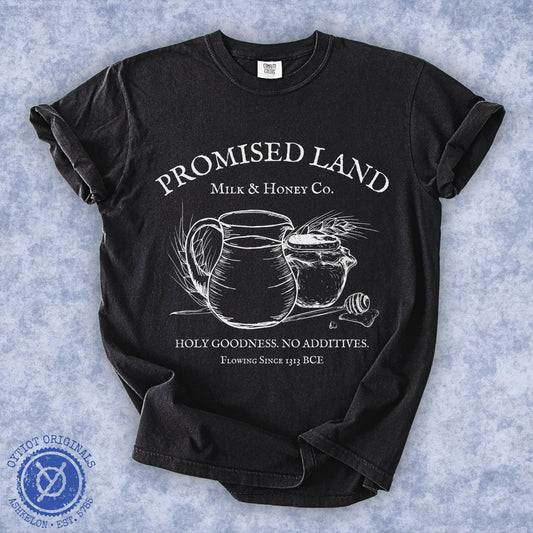 Milk & Honey Co. | Jewish Humor Shavuot Washed T-shirt