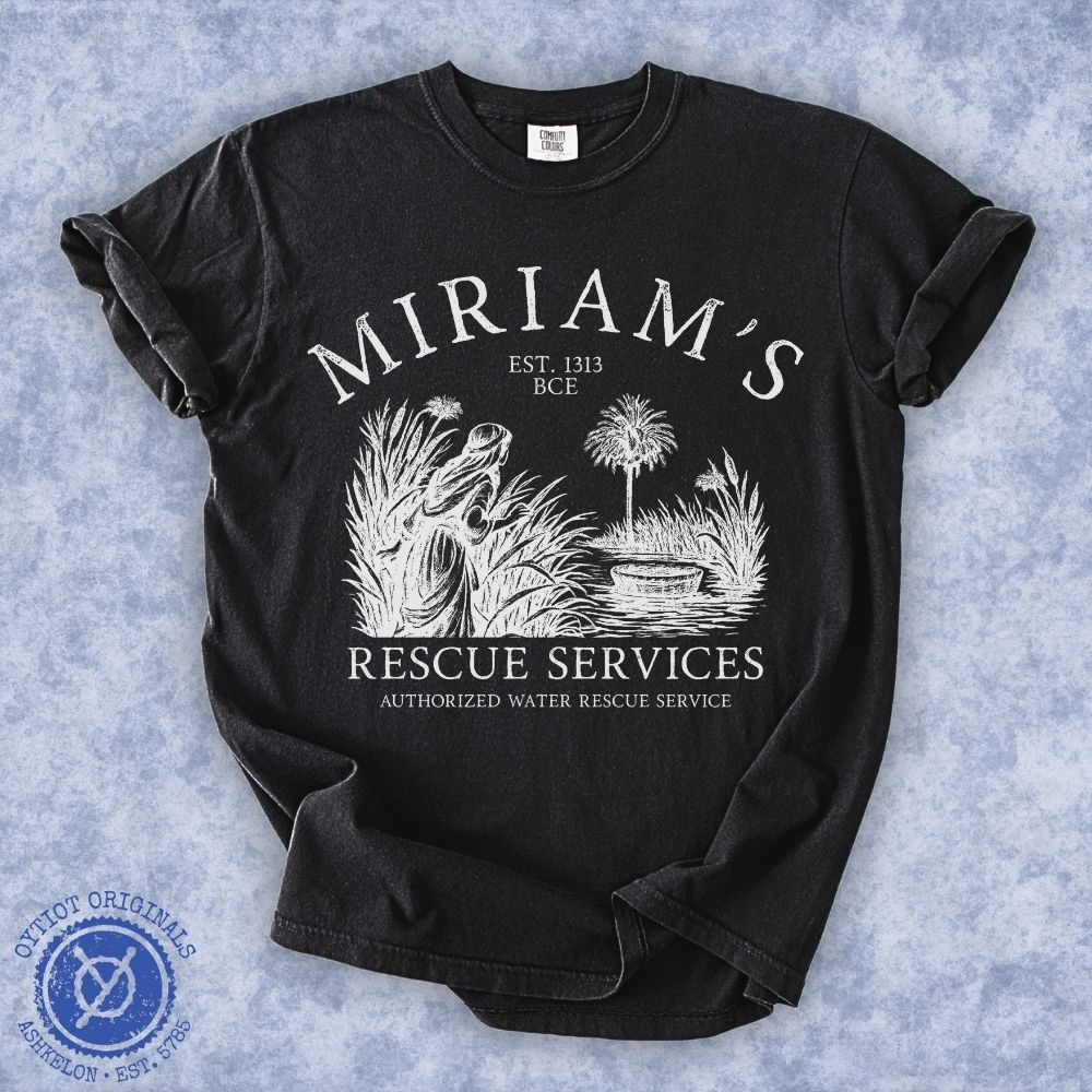 Miriam's Rescue Services | Passover Funny Heavyweight T-shirt
