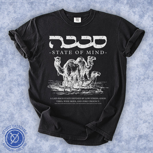 סבבה State of Mind | Israeli Slang Washed T-shirt