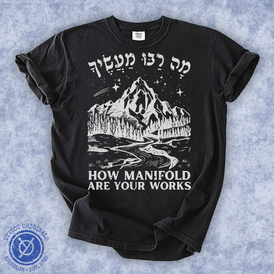 מה רבו מעשיך | Psalms 104 Washed T-shirt