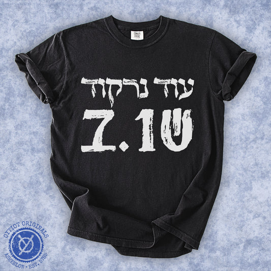 עוד נרקוד שוב | October 7 Washed T-shirt