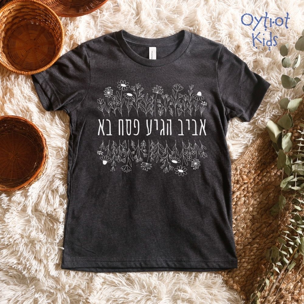 אביב הגיע פסח בא | Passover Youth T-shirt