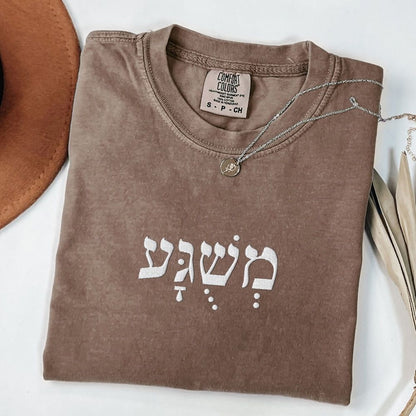 משוגע | Meshuga in Hebrew Embroidered Heavyweight T-shirt
