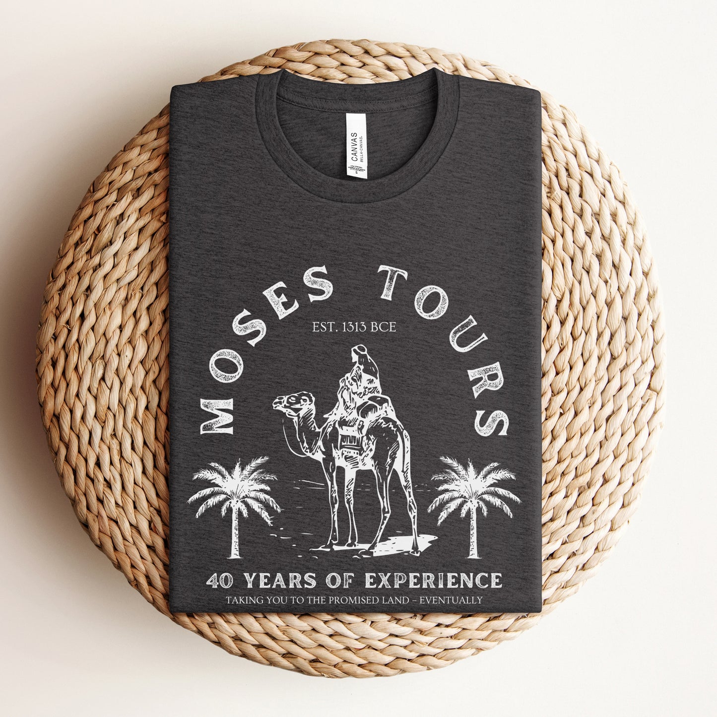 Moses Tours | Passover Funny T-shirt