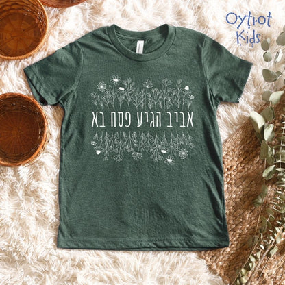 אביב הגיע פסח בא | Passover Youth T-shirt