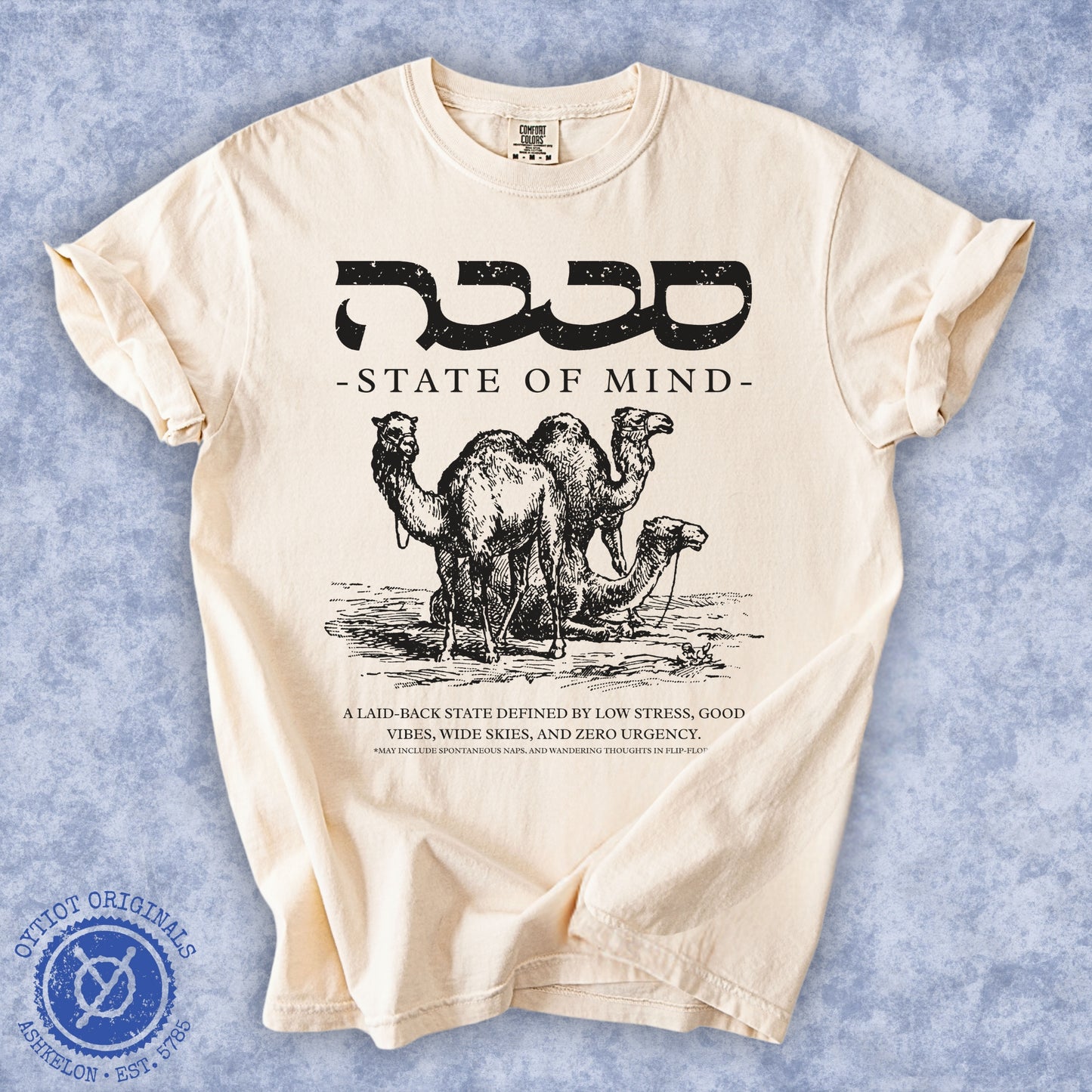סבבה State of Mind | Israeli Slang Washed T-shirt