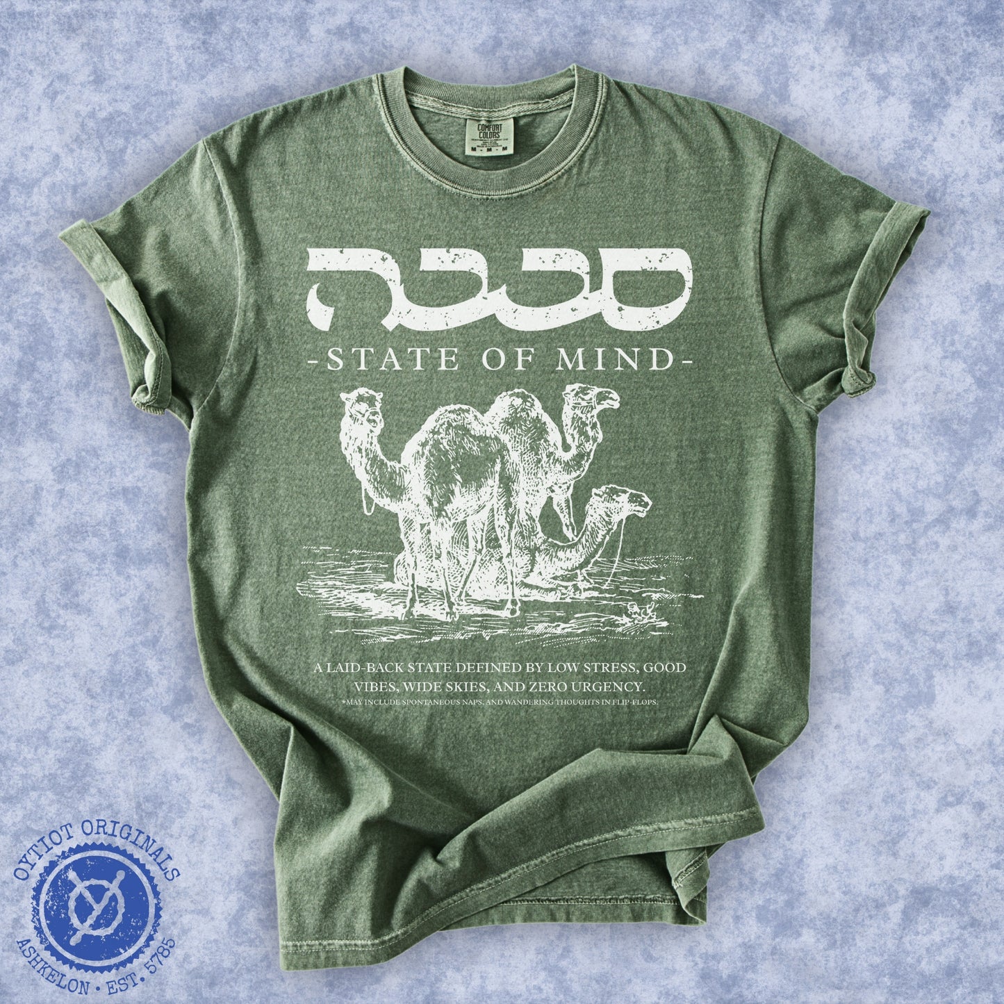 סבבה State of Mind | Israeli Slang Washed T-shirt