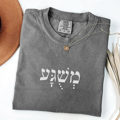 משוגע | Meshuga in Hebrew Embroidered Heavyweight T-shirt