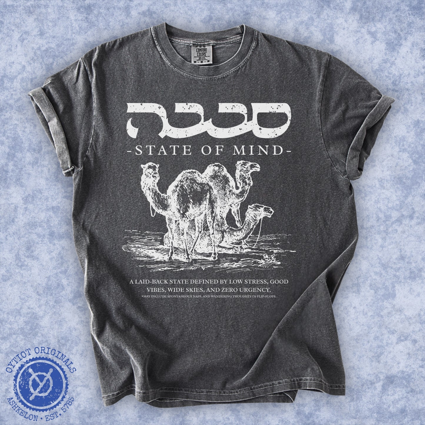 סבבה State of Mind | Israeli Slang Washed T-shirt