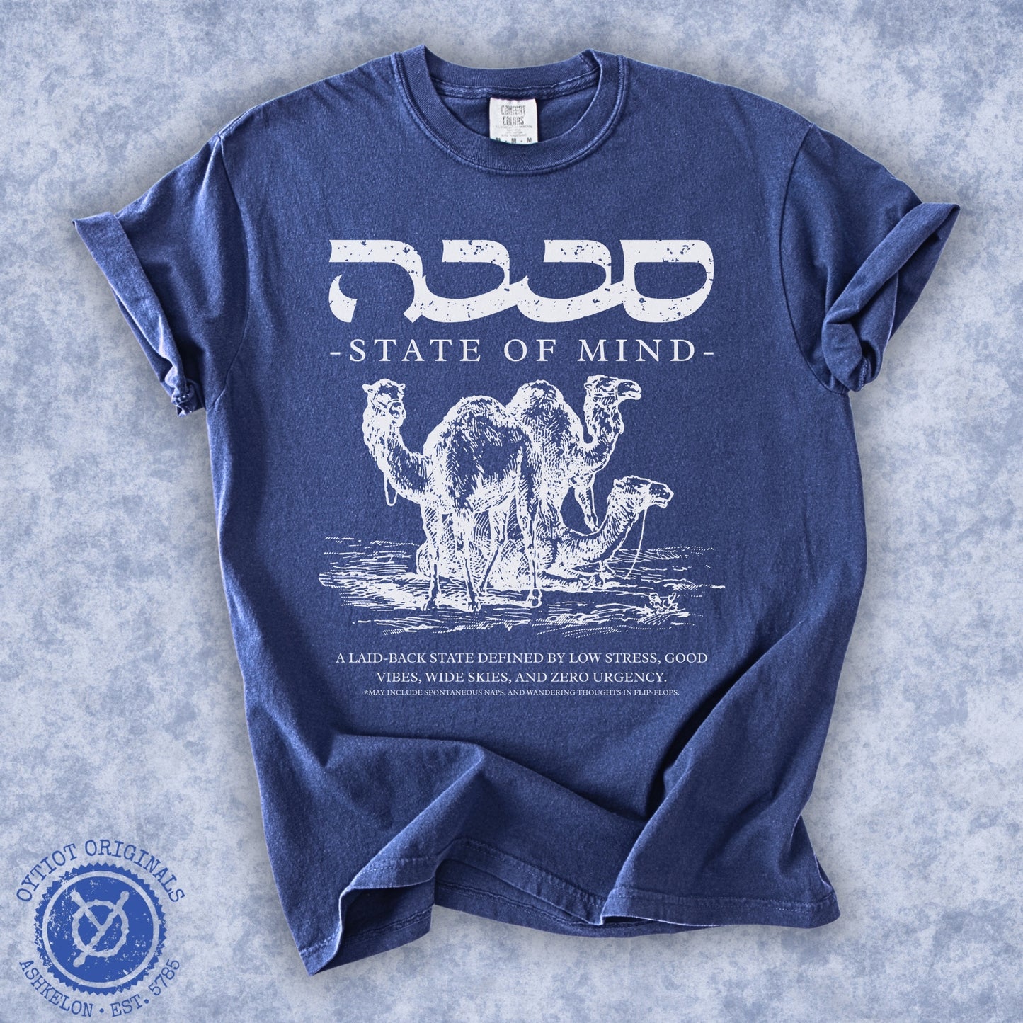 סבבה State of Mind | Israeli Slang Washed T-shirt