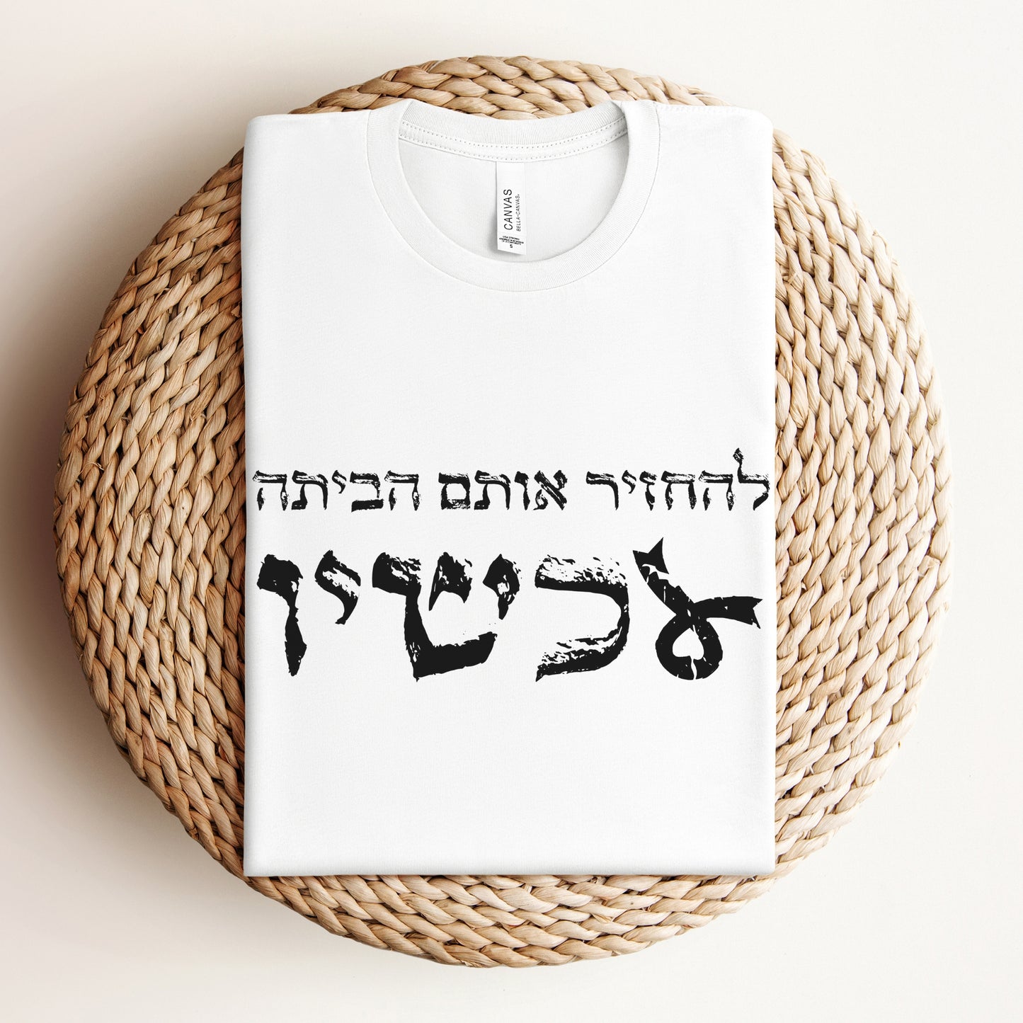 להחזיר אותם הביתה עכשיו T-shirt