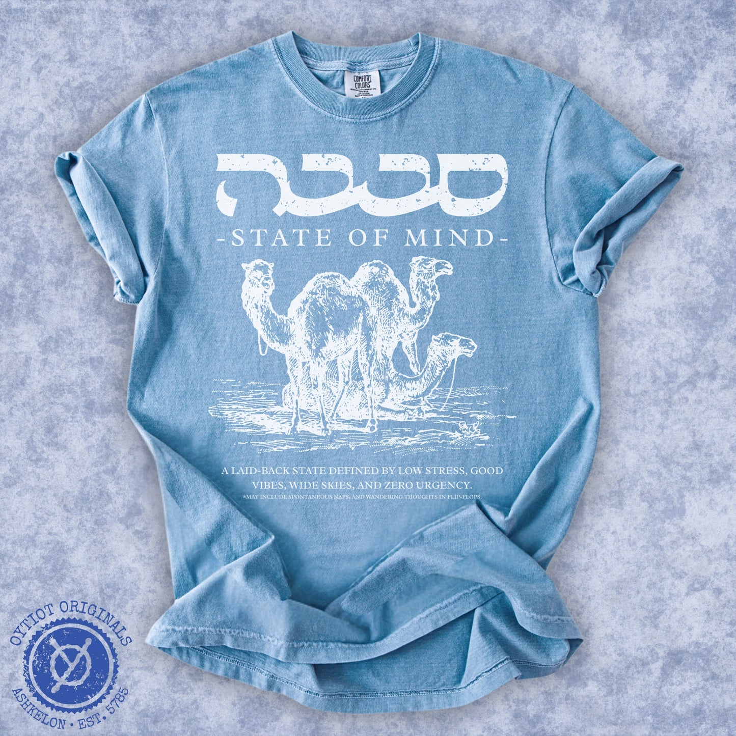 סבבה State of Mind | Israeli Slang Washed T-shirt