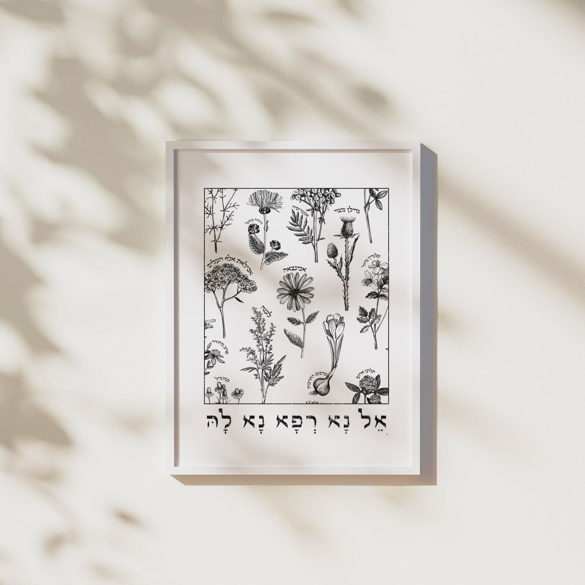 אל נא רפא נא לה | Medicinal Herbs Wall Art - Oytiot