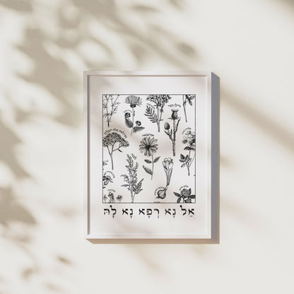 אל נא רפא נא לה | Medicinal Herbs Wall Art - Oytiot