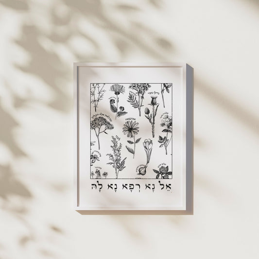 אל נא רפא נא לה | Medicinal Herbs Wall Art - Oytiot
