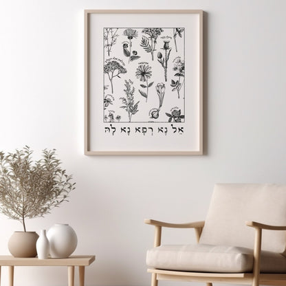 אל נא רפא נא לה | Medicinal Herbs Wall Art - Oytiot