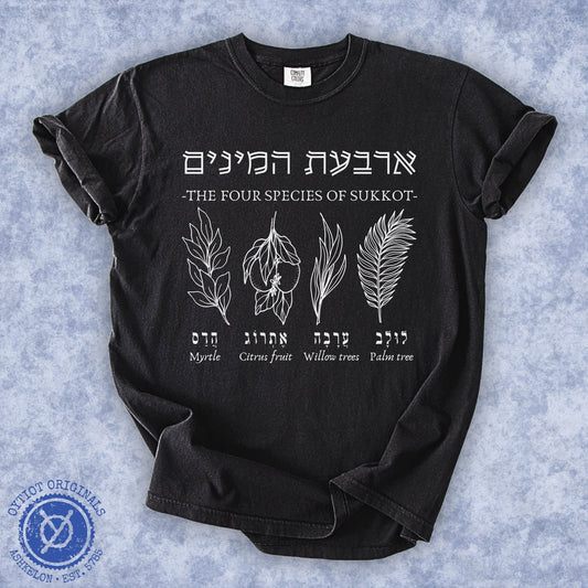ארבעת המינים | The Four Species Of Sukkot Washed T-shirt - Oytiot
