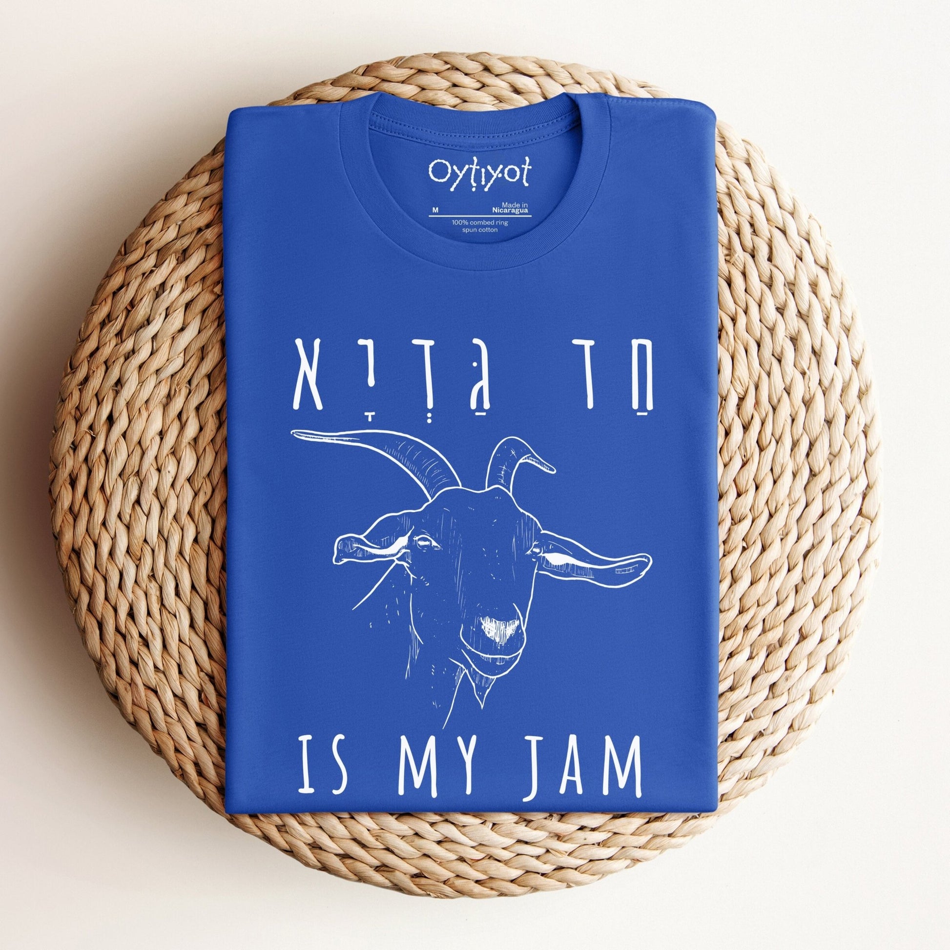 חד גדיא | Funny Passover Hebrew T-shirt - Oytiot