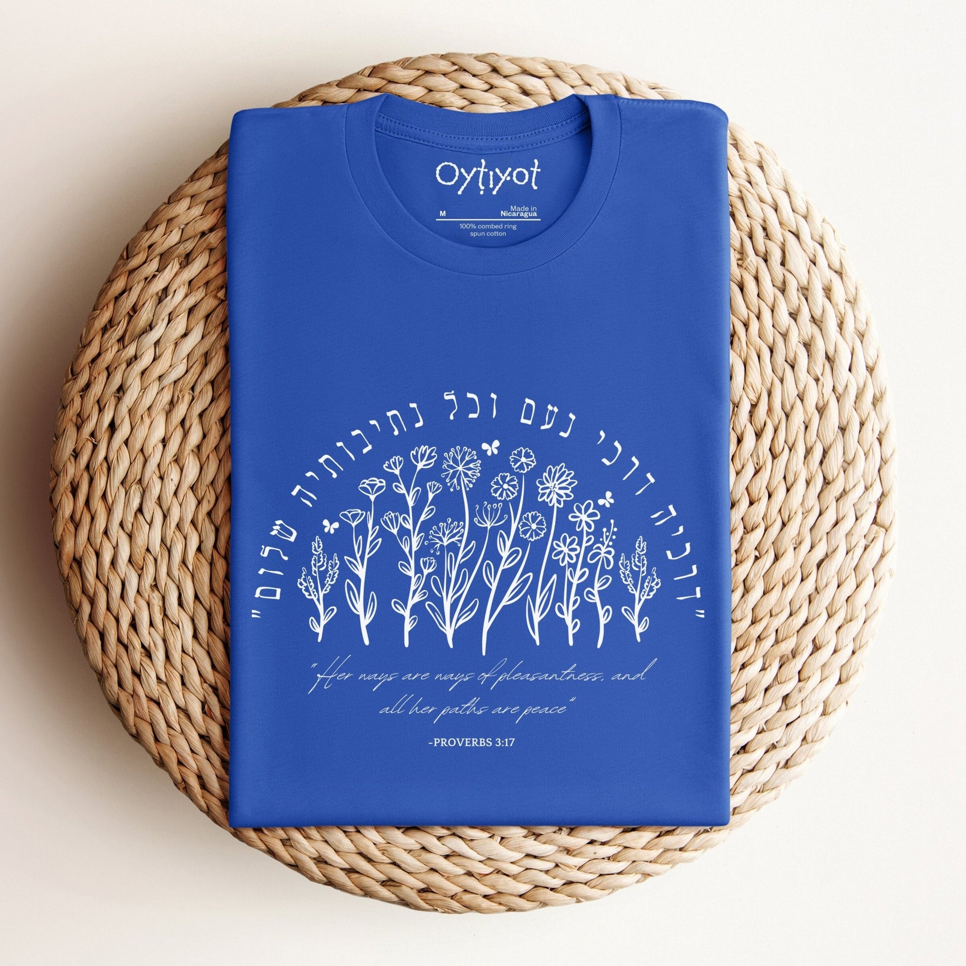 דרכי נעם | Proverbs 3:17 Hebrew T-shirt - Oytiot