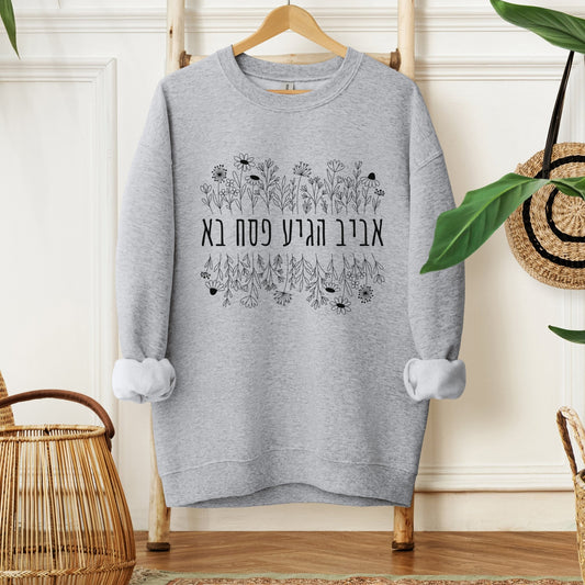 פסח בא | Passover Has Arrived Hebrew Sweatshirt - Oytiot